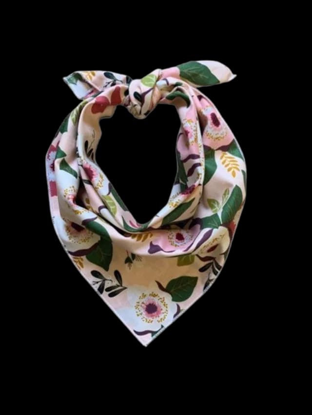 Bandana/Neck Scarf
